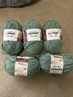 Bernat Blanket Yarn - Sage Green Plush Chunky Yarn (5 Skeins)